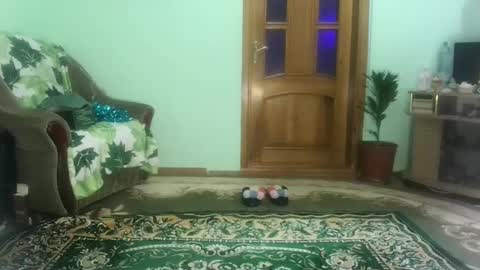 Snapshot of proud_sweet_21 chatting on 12-21-24, 04:57 proud sweet 21 online show from 12-21-24, 04:57