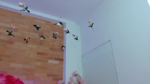 Snapshot of provincute chatting on 06-11-26, 04:32 Adris Juan online show from 06-11-26, 04:32