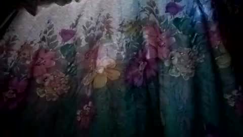 Snapshot of prvive2025 chatting on 10-05-25, 07:34 prvive2025 online show from 10-05-25, 07:34