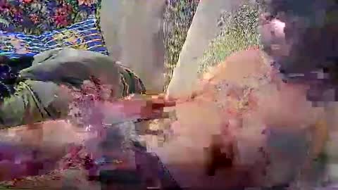 Snapshot of psytube chatting on 12-14-25, 09:41 psytube online show from 12-14-25, 09:41