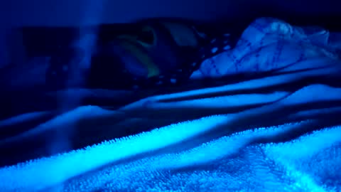 ptut82 online show from 02-15-26, 09:41