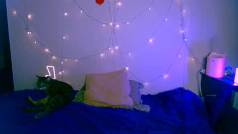 EsteticHouse online show from 01-24-25, 05:53