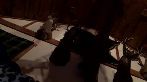 pumpslurrys online show from 12-22-25, 05:26