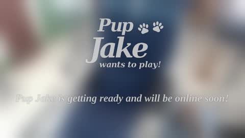 Snapshot of pup_jake chatting on 01-05-25, 12:53 Pup Jake wants to play online show from 01-05-25, 12:53