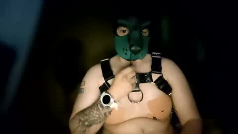 Pup Kori online show from 06-08-26, 06:14