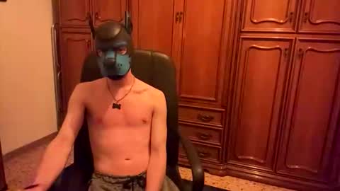 Snapshot of pup_toby chatting on 11-03-25, 10:32 Toby online show from 11-03-25, 10:32