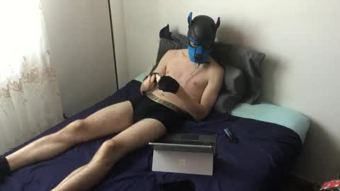 Snapshot of pup_toby chatting on 11-05-25, 11:10 Toby online show from 11-05-25, 11:10