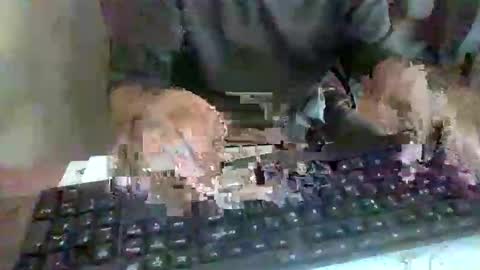 pup_y online show from 09-17-25, 02:52