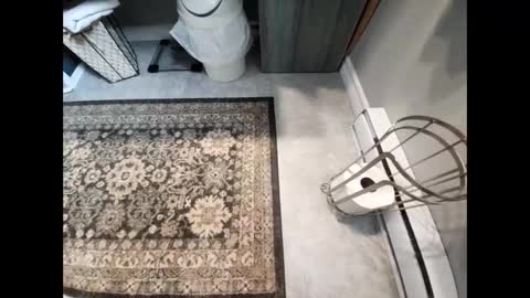 purdyguy7777 online show from 12-29-24, 05:12