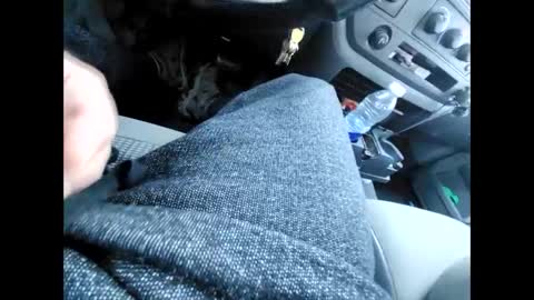 purdyguy7777 online show from 12-31-24, 06:13