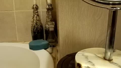 Snapshot of purecharismacpl chatting on 02-20-26, 10:21 purecharismacpl online show from 02-20-26, 10:21