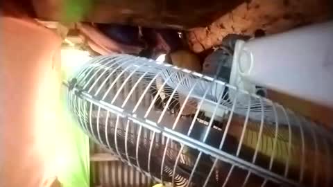 pussywetfantasy69xxx online show from 04-23-26, 12:56