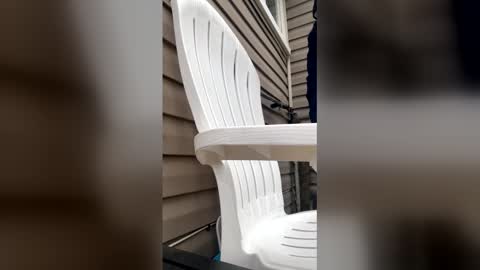 Snapshot of pyrex8 chatting on 01-13-26, 03:17 pyrex8 online show from 01-13-26, 03:17