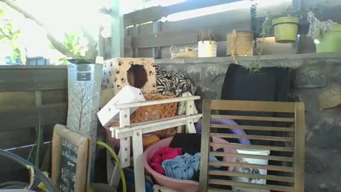 Snapshot of python974 chatting on 01-02-25, 02:33 Python online show from 01-02-25, 02:33