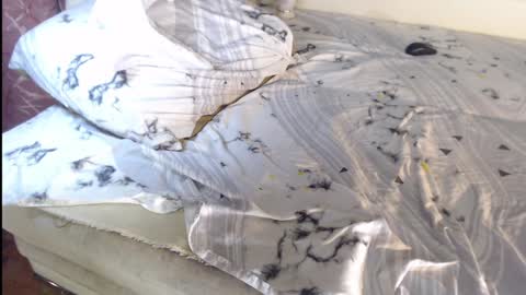 Snapshot of q_t_pie chatting on 12-27-24, 04:58 Lita rat online show from 12-27-24, 04:58