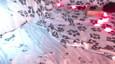 Snapshot of q_t_pie chatting on 01-03-25, 03:27 Lita rat online show from 01-03-25, 03:27