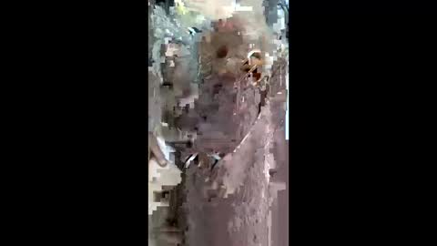 queen_2028 online show from 03-29-26, 08:58