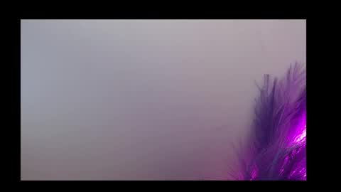 Snapshot of queen_rosee_ chatting on 02-05-26, 12:59 Queen Rosee online show from 02-05-26, 12:59