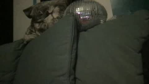 Snapshot of queendelaranch chatting on 09-20-25, 07:04 Queen De La Ranch online show from 09-20-25, 07:04