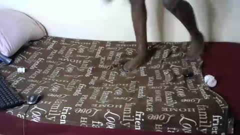 melly online show from 01-04-25, 09:10