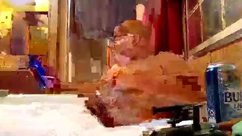 Snapshot of rabidsquirrell chatting on 02-05-25, 12:53 rabidsquirrell online show from 02-05-25, 12:53