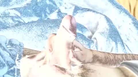 rabo_rico online show from 02-26-26, 10:14