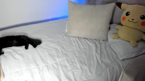 natalia  -  online show from 01-28-25, 09:30