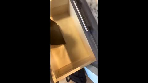 Snapshot of rainbow_randolf chatting on 11-22-25, 07:57 Rainbow Randolf online show from 11-22-25, 07:57