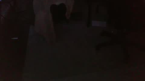 Snapshot of ram4u123 chatting on 10-24-25, 09:49 Ram online show from 10-24-25, 09:49