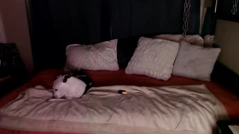    RAMONA Q   online show from 12-20-24, 08:49