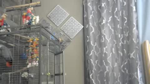 Randy8inbater online show from 12-01-24, 09:26