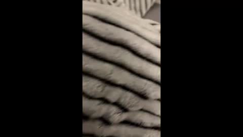 Snapshot of randyjohnson504 chatting on 11-09-25, 05:06 randyjohnson504 online show from 11-09-25, 05:06