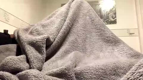 Snapshot of ranj00800 chatting on 11-24-25, 06:51 ranj00800 online show from 11-24-25, 06:51