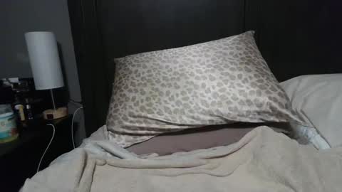 Snapshot of ravchat chatting on 01-23-25, 08:02 ravchat online show from 01-23-25, 08:02