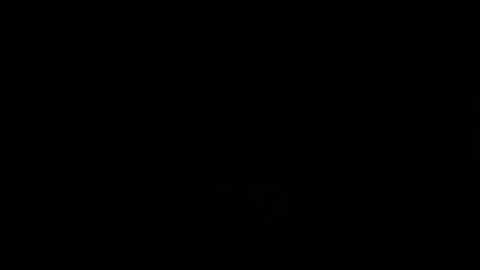 Ray  online show from 01-25-25, 02:47