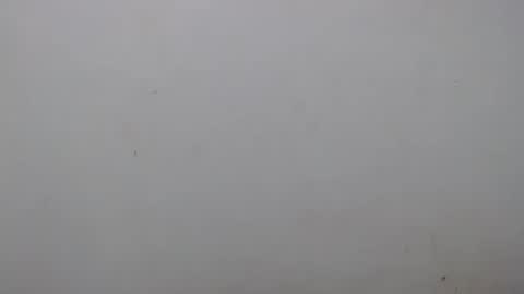 Ray  online show from 02-01-25, 02:16