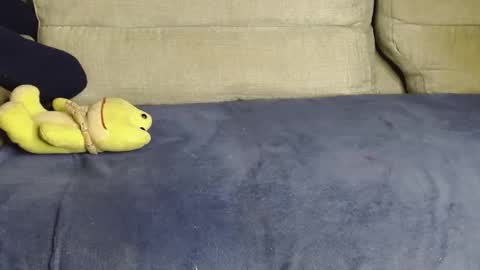 Ray  online show from 03-14-26, 10:53