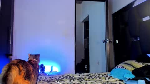 Rayn online show from 09-28-25, 09:42