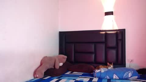 Rayn online show from 10-17-25, 07:33