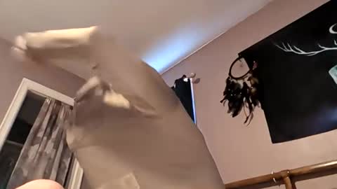 raziebaby online show from 04-27-26, 02:15