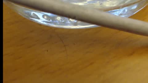 Snapshot of rb4711 chatting on 11-21-25, 05:22 rb4711 online show from 11-21-25, 05:22