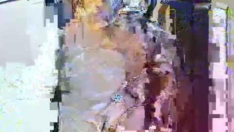 rb69er905364 online show from 04-25-26, 06:16