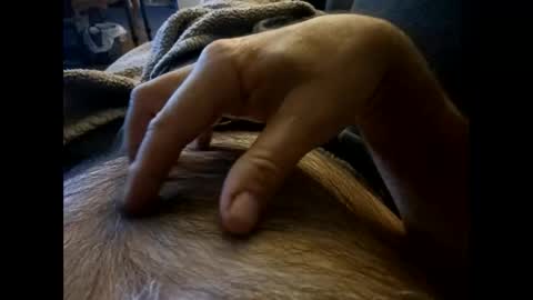 Snapshot of rdt2030 chatting on 12-08-24, 07:54 rdt2030 online show from 12-08-24, 07:54