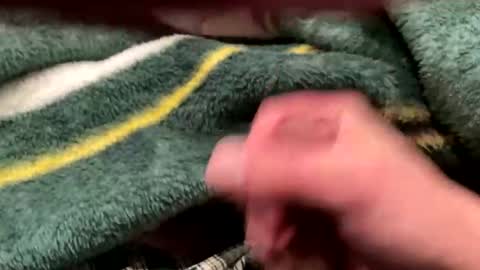 realbigload77 online show from 02-24-26, 04:32