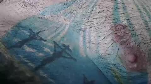 realrubpirate online show from 01-10-26, 09:44