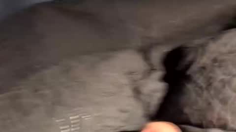 Snapshot of rebornbutbored chatting on 11-15-25, 11:40 rebornbutbored online show from 11-15-25, 11:40