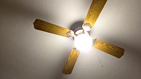 red24devils online show from 09-22-25, 06:59