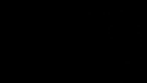 Neta online show from 10-25-25, 01:13