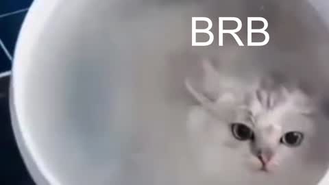 Snapshot of red_queeen chatting on 01-10-25, 12:17 QUEEN OF EVIL online show from 01-10-25, 12:17