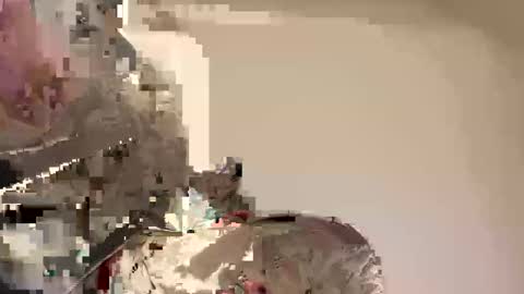 Snapshot of reddrockett69 chatting on 04-30-26, 08:57 Ali j online show from 04-30-26, 08:57